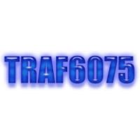 322.34.2A, Defense Attorney Tampa, DRIVING W/LICENSE CANC SUSP OR REVOKED, Driving with License Canceled Suspended or Revoked, Suspended or Revoked, TRAF6075,