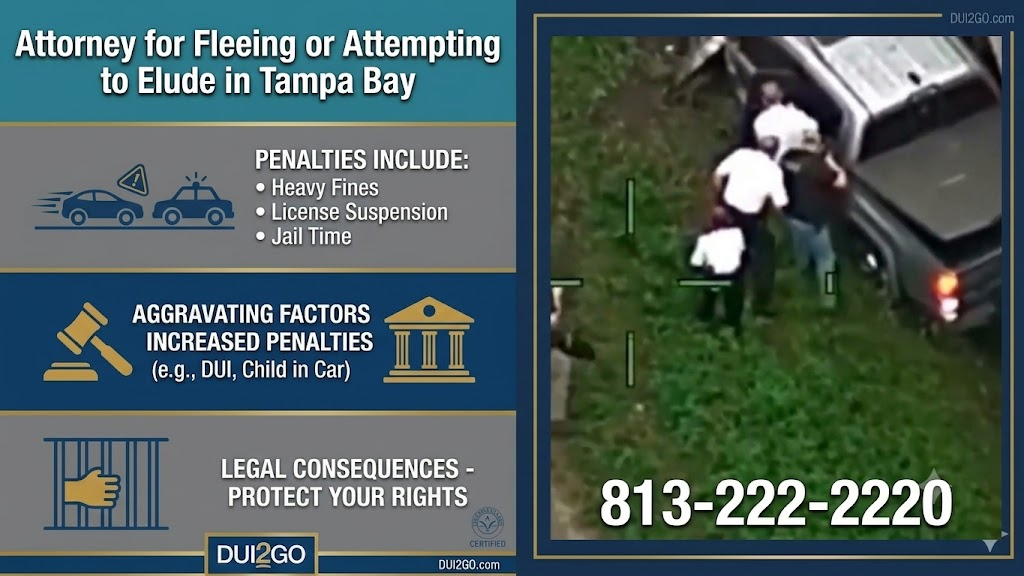 Fleeing or Attempting to Elude Attorney in Tampa Bay - True Crime Video