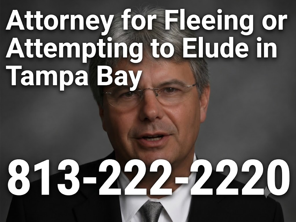 Fleeing or Attempting to Elude Attorney in Tampa Bay - True Crime Video